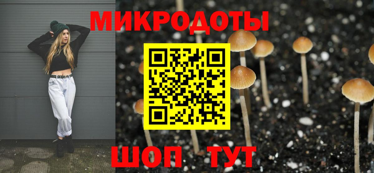 Галлюциногенные грибы прущие грибы Озёрск