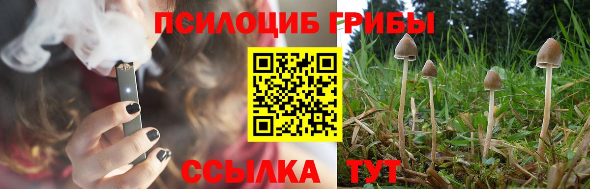 Псилоцибиновые грибы Psilocybine cubensis  Псилоцибиновые грибы ЛСД  Озёрск  Вход с VPN 